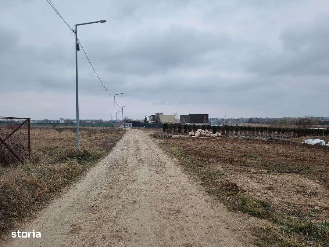 Teren Izvorani iesire Lac | loturi Izvorani | delta Snagov-7