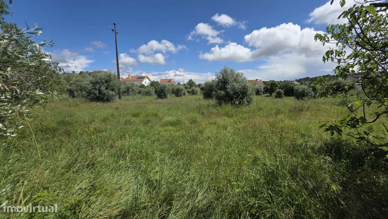 Excelente Terreno para Moradia a 5 kms de Tomar-14