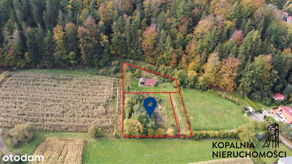 Działka przy lesie, Widokowa - Pełny obrazek: 5/9