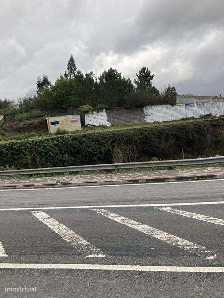 Alugo terreno sorte Regedoura 1250m2. Estrada Gandra Baltar - Grande imagem: 4/6