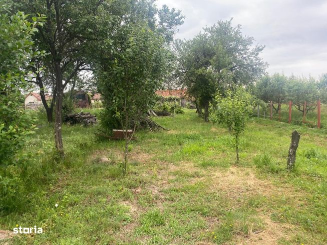 Casa traditionala renovata + anexe si gradina, Telesti, Gorj-9