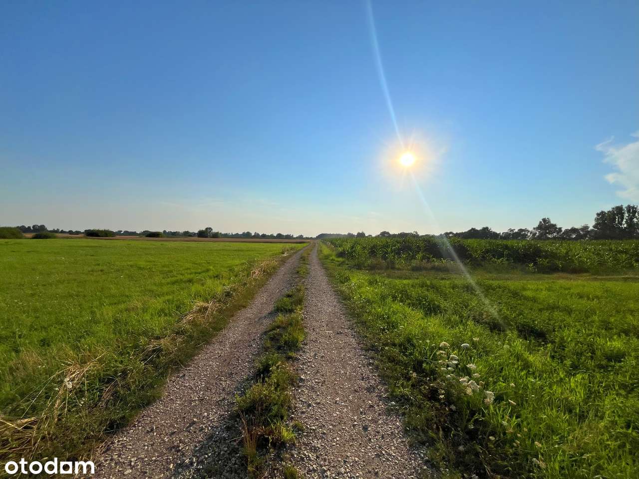 Żabiec - działka z możliwością zabudowy-1