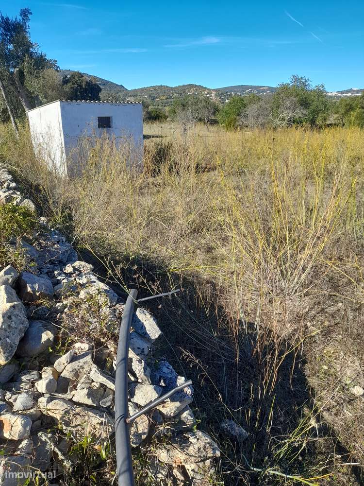 Terreno agrícola de 2160m² em Faro - Grande imagem: 2/3