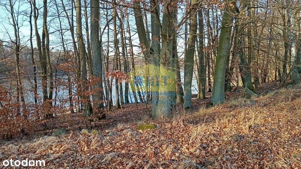 Działka 6066 m2, z dostępem do jeziora Kaleńsko-14