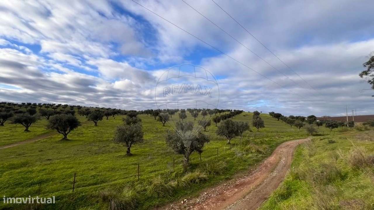 Terreno  para venda - Grande imagem: 3/8