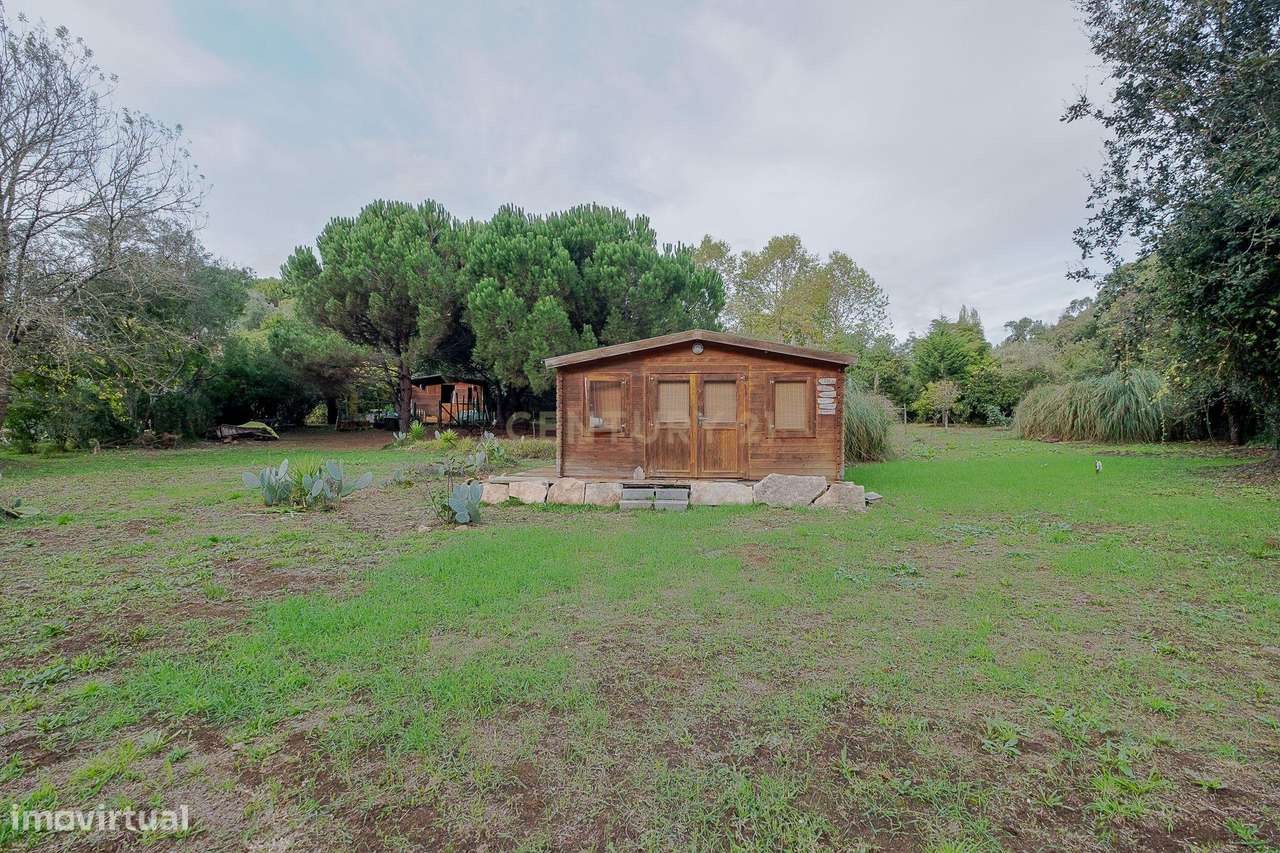 Moradia T4 com 5000m2 de Terreno - "Quinta do Sol"-47