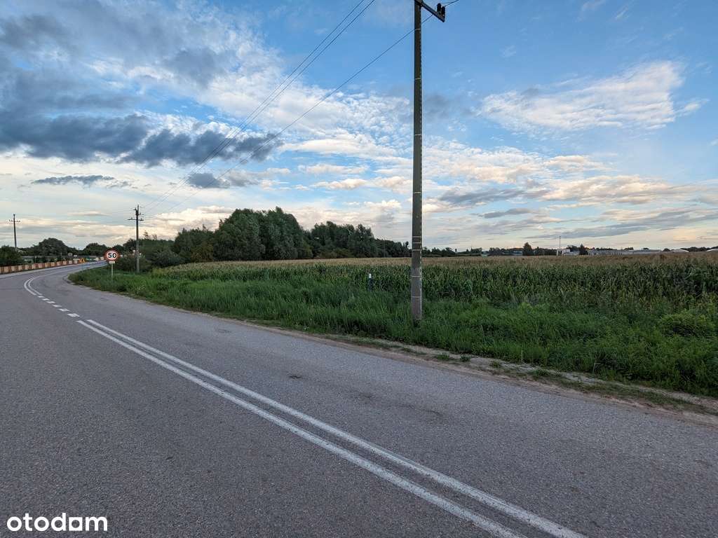 10 ha pod Elblągiem, przy S7 pod handel i usługi - Pełny obrazek: 4/5