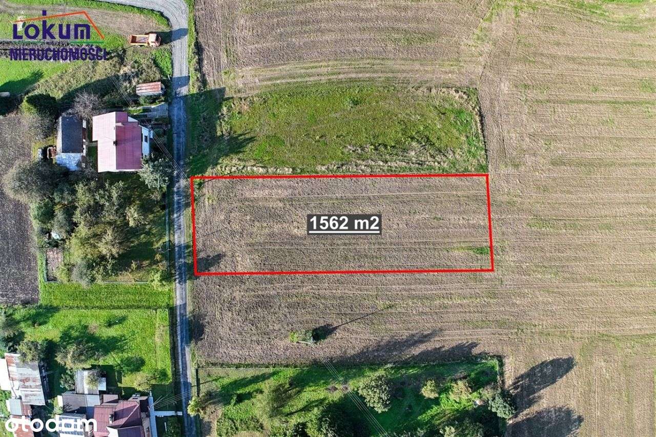 Międzyświeć - działka 1562 m², cisza i zieleń - Pełny obrazek: 5/8