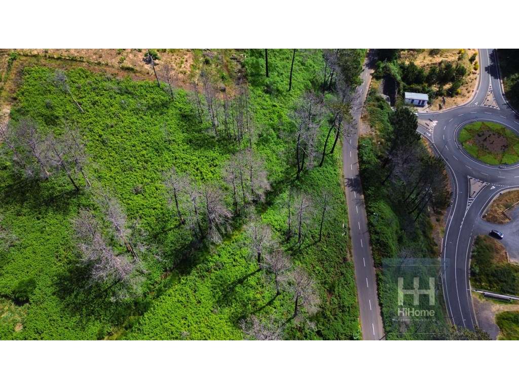 Terreno na Fajã da Ovelha, com capacidade para construção de uma mo... - Grande imagem: 5/36