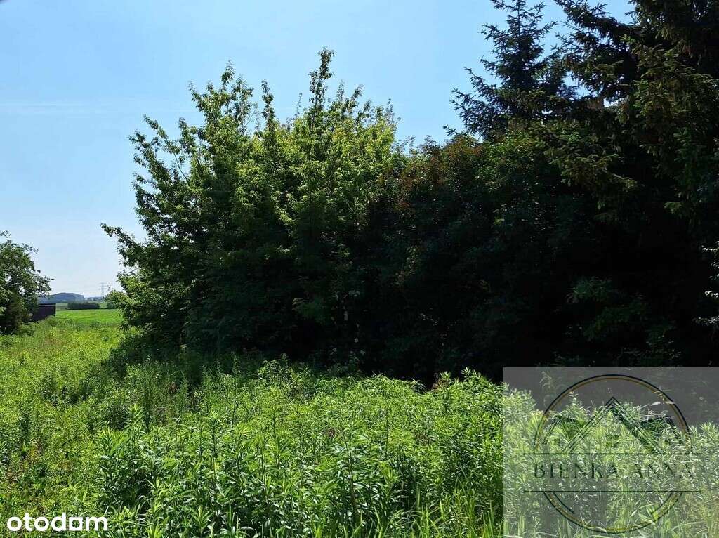 Działka rolno budowlana usługowa Wieruchów Ożarów - Pełny obrazek: 4/4