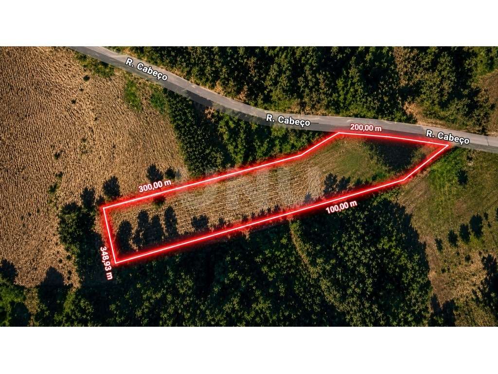Terreno Rústico com 3.500 m2 - Rua do Cabeço | Bustos, Oliveira do ...-7