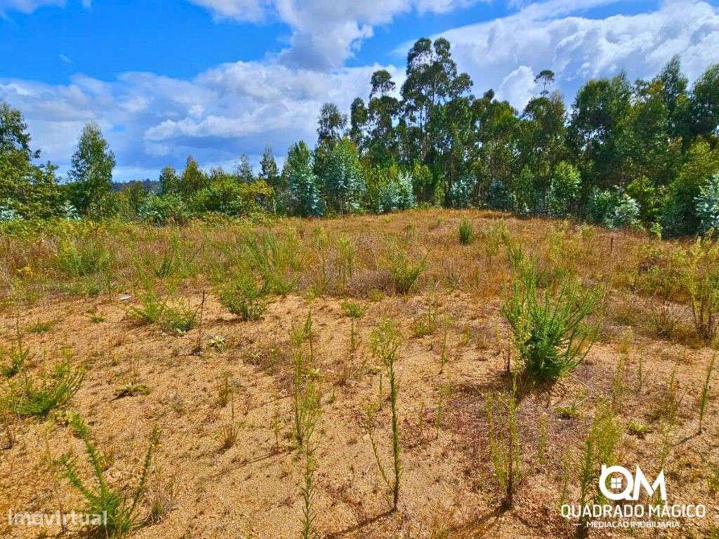Terreno urbanizável com 1870m2 a 1km das Termas das Caldas de São J...-20