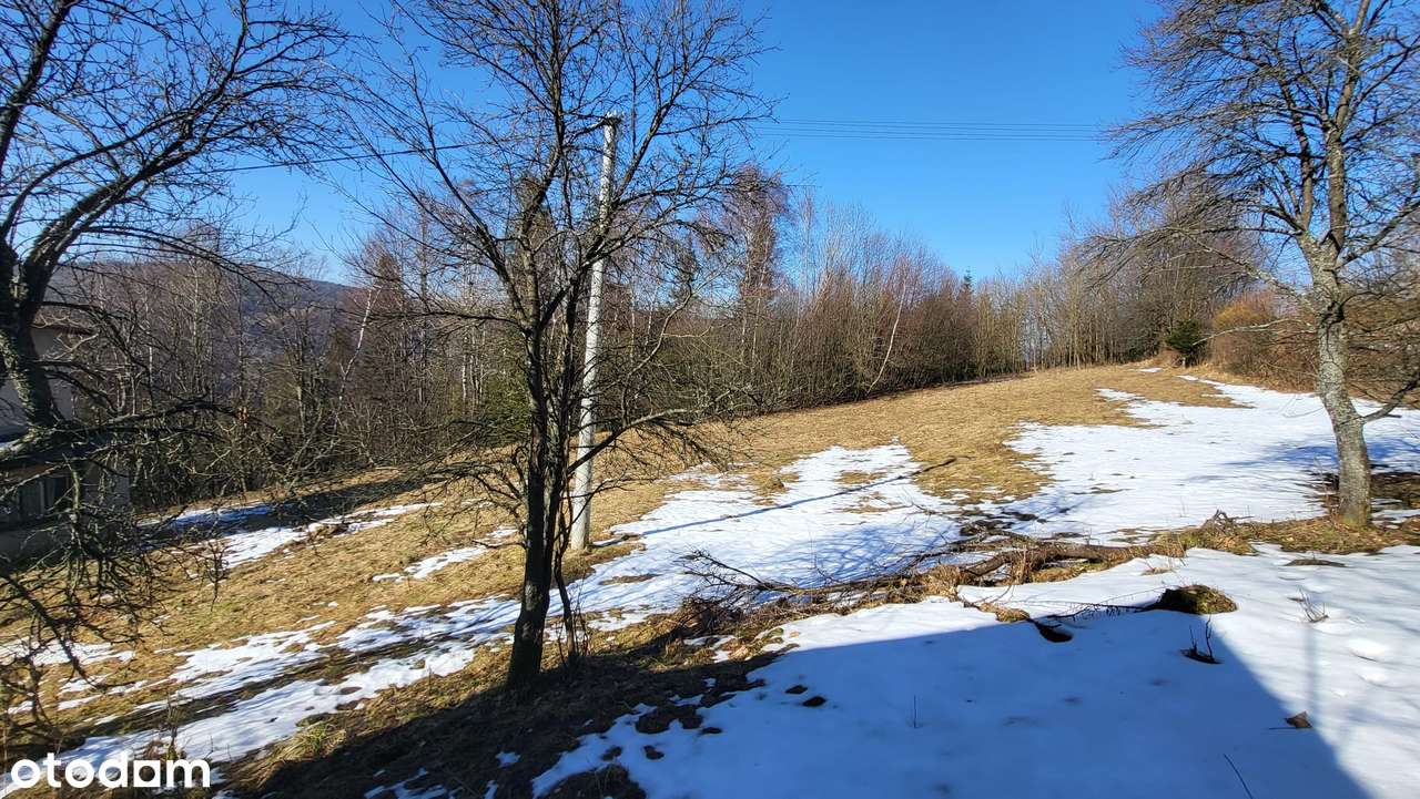 Dwa domy na działce 48 arów w Wiśle-14