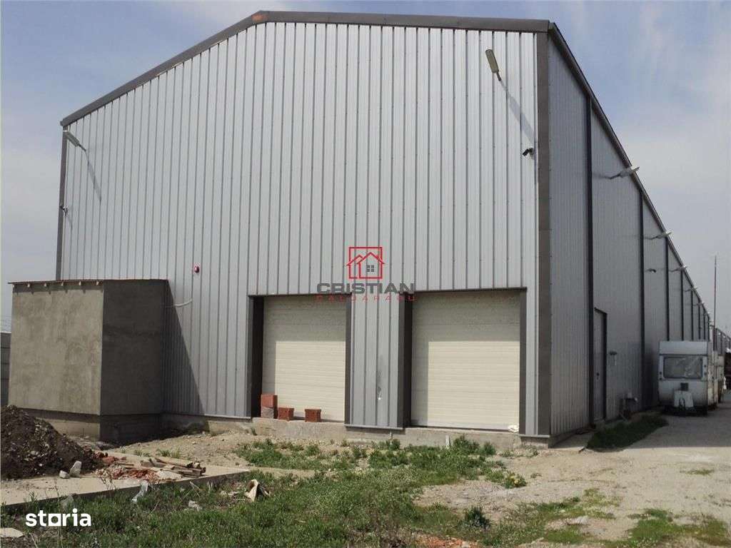 Vanzare depozithalaspatiu industrial Magurele - Atomistilor - Imagine principală: 3/7