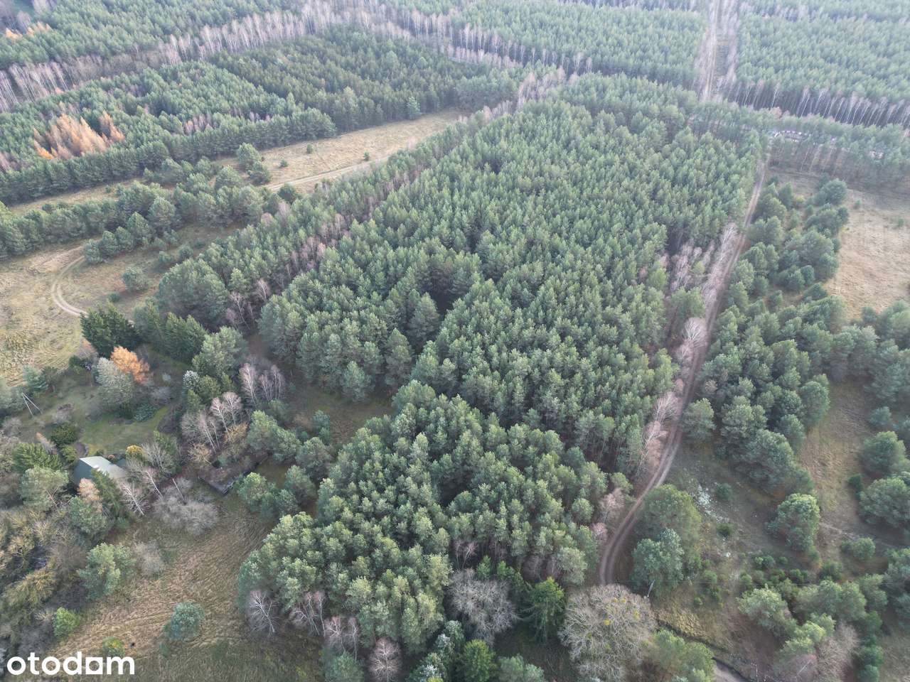 Działka na sprzedaż – Małe Jarki, koło Cierpic, niedaleko Torunia-6