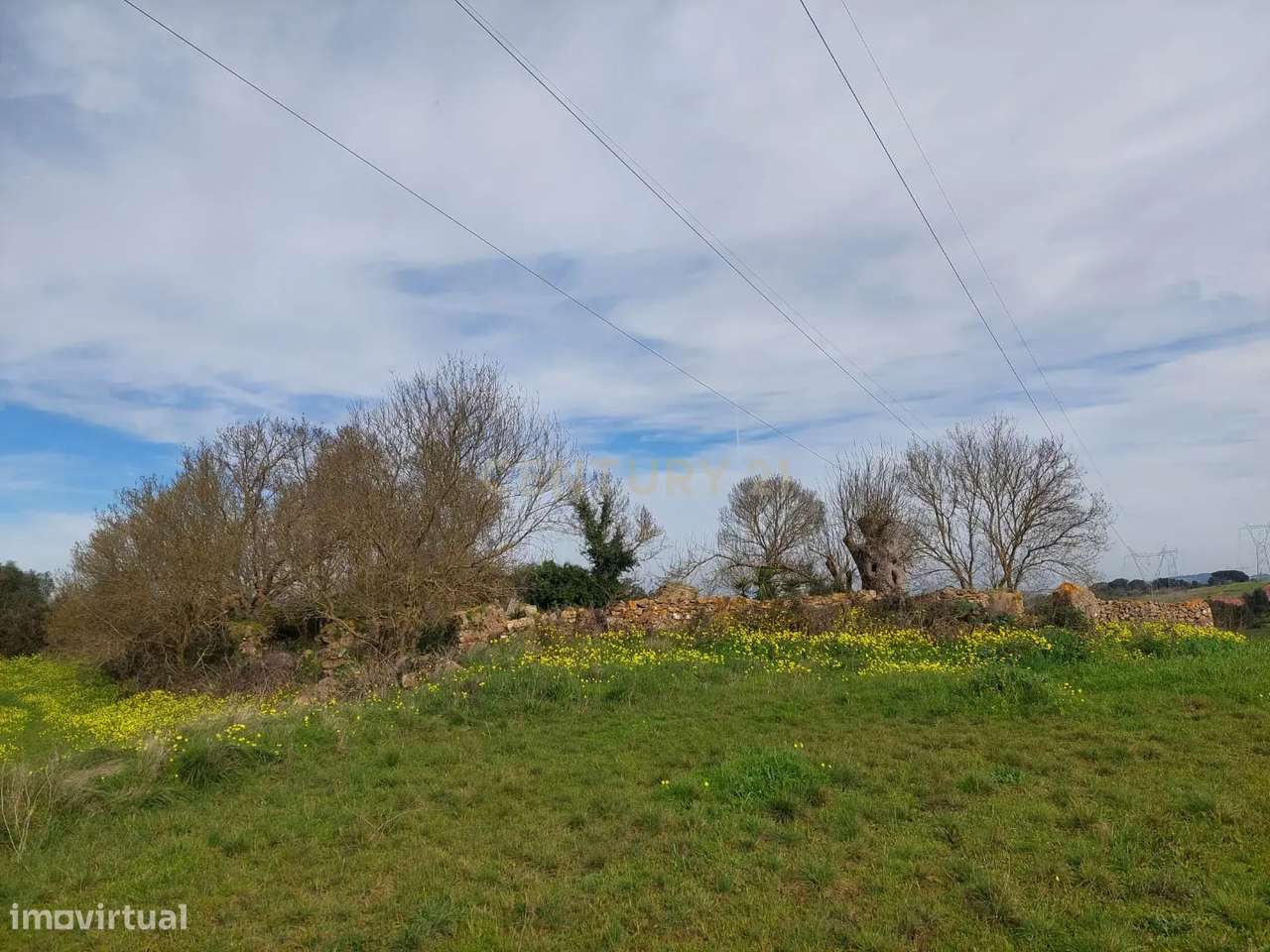 Quinta - 25 hectares-13