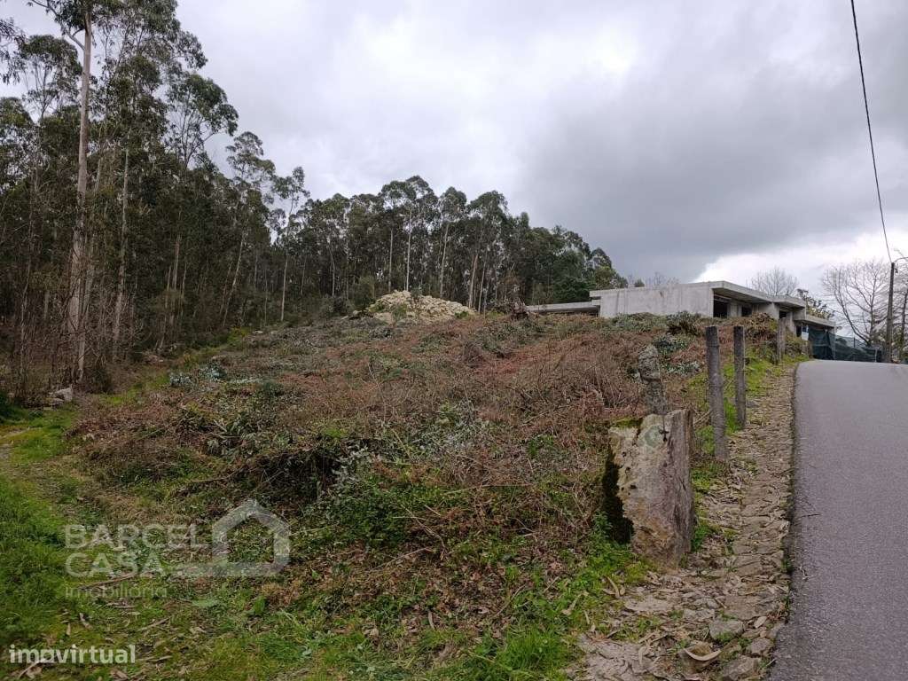 Terreno de construção em Alvito S. Pedro - Barcelos-0