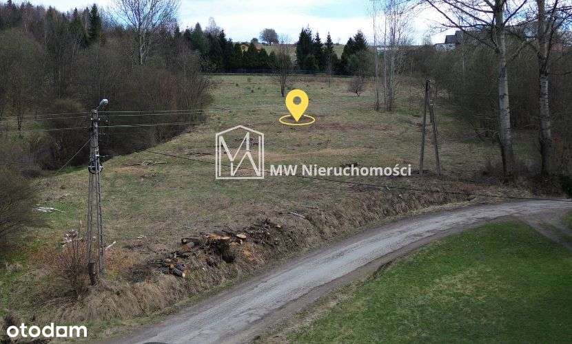 Widokowa działka budowlana Las, Beskid Mały-8