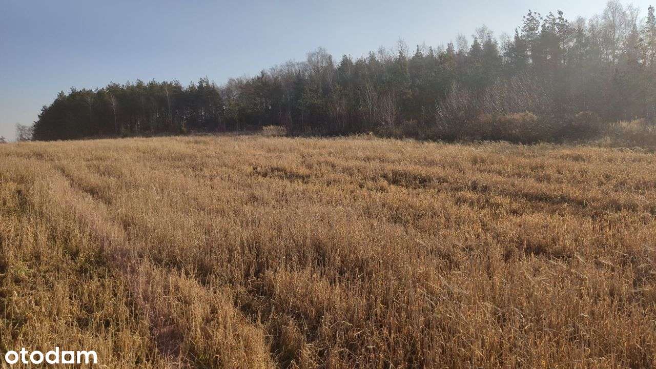 Działka Inwestycyjna Dk78 Zawiercie - Pełny obrazek: 4/13