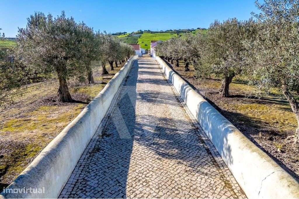 Quinta Vitivinícola com 35,74ha, em plena produção, a 30 minutos de Li - Grande imagem: 3/60