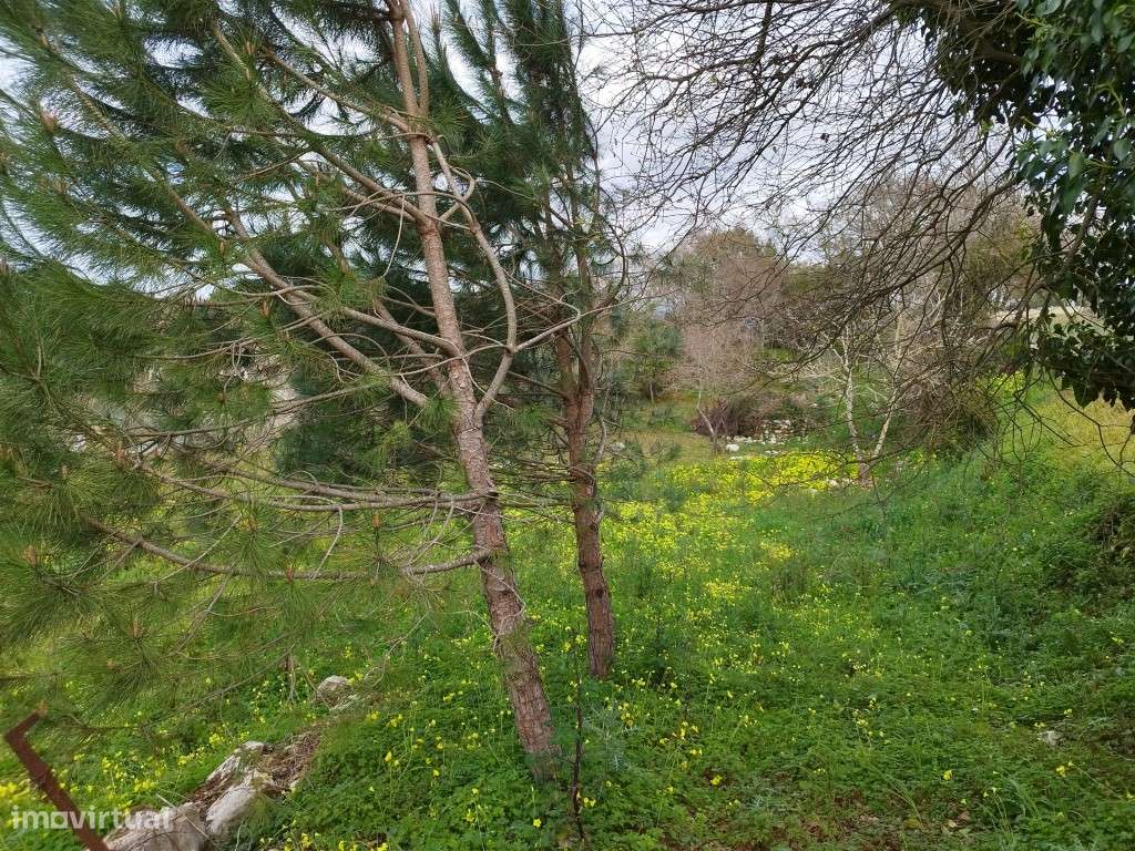 Terreno Urbano Venda Leiria-14