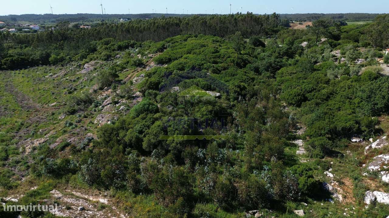 Terreno Rústico c/ 16.520 m2 Reguengo Pequeno - Lourinhã-10