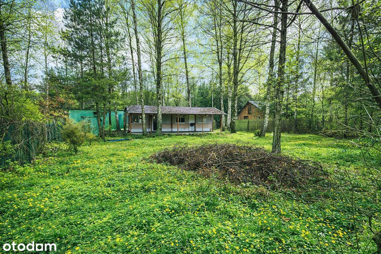 Działka rekreacyjna z domkiem holenderskim | jez. Piaseczno, 658 m2 - Pełny obrazek: 2/7