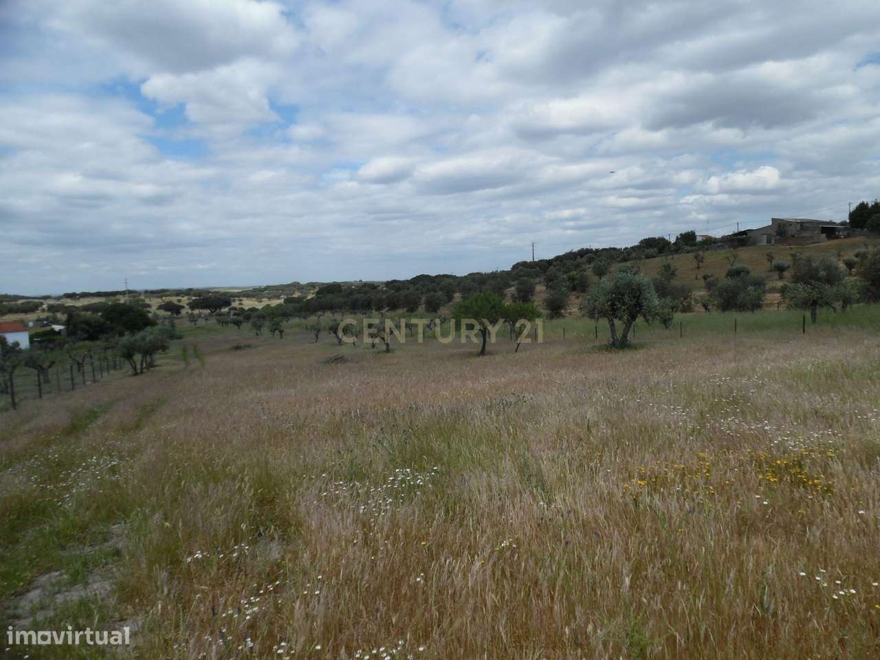 Quinta em Capelins,  Alandroal - Évora,  Oportunidade Única-32
