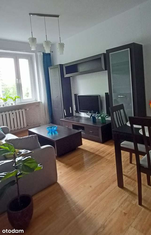 2 pokojowe, centrum, Koszutka, bez prowizji, przytulne, wśród zieleni