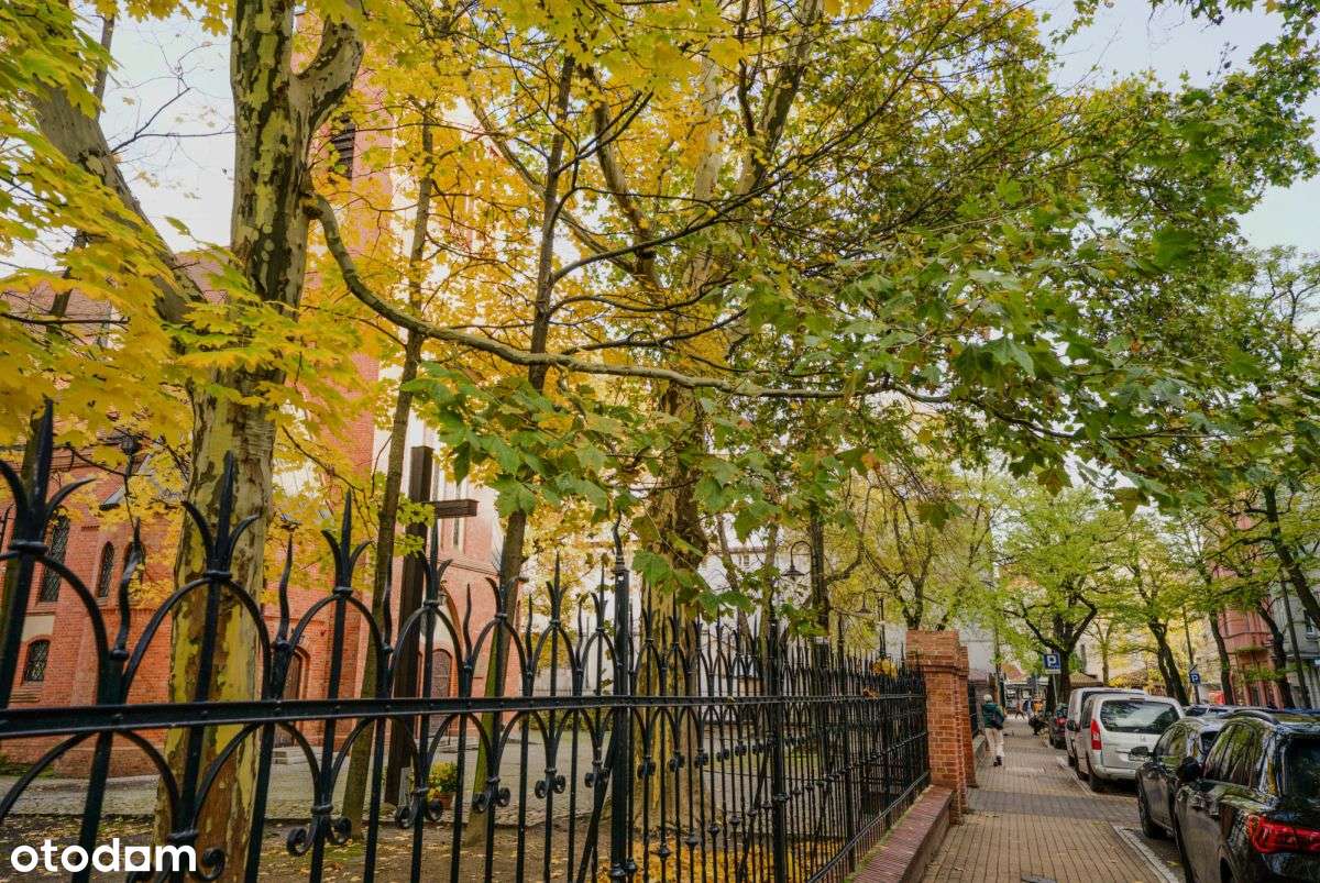 Kamienica z klimatem, m z balkonem-19