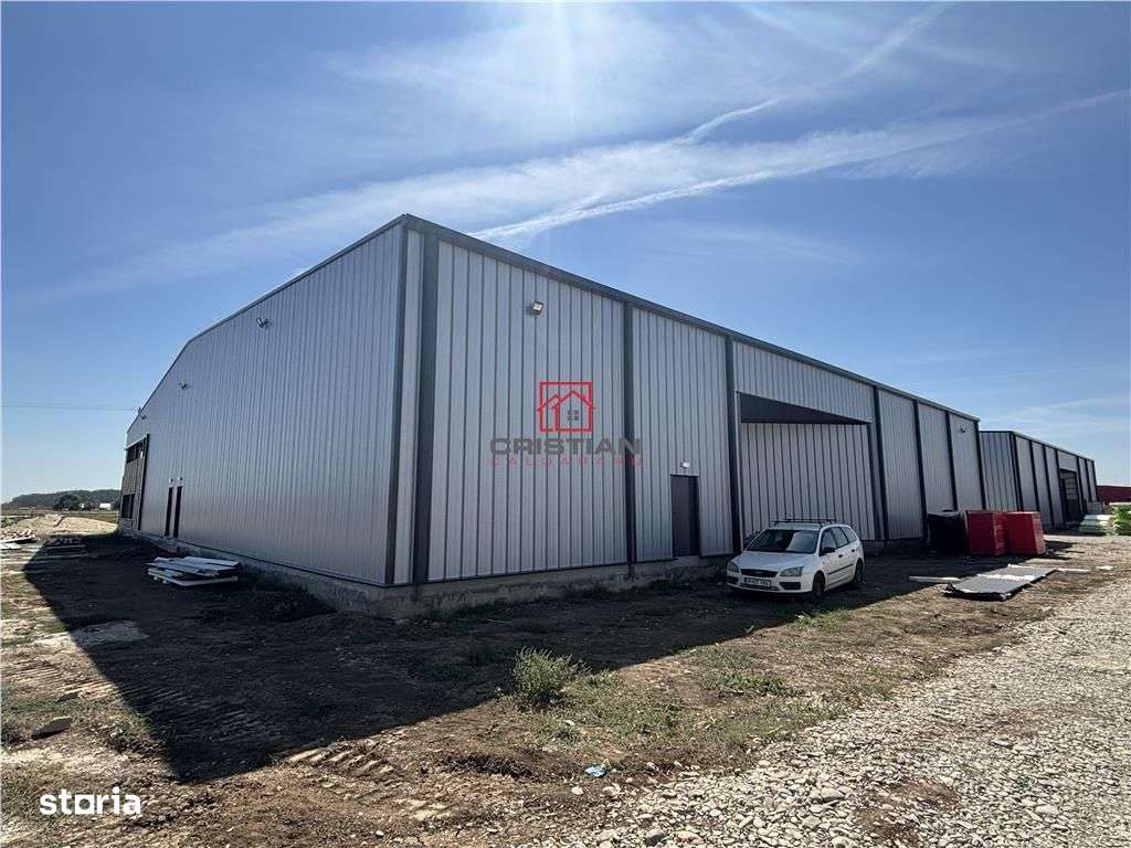 Inchiriere depozithalaspatiu industrial Mogosoaia - Buftea - Imagine principală: 3/13