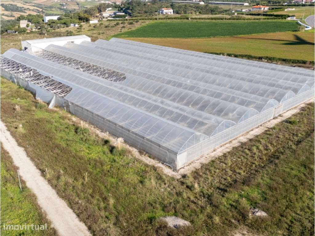Terreno com 4,750 ha com vista sobre o mar em Ribamar na Ericeira - Grande imagem: 4/22