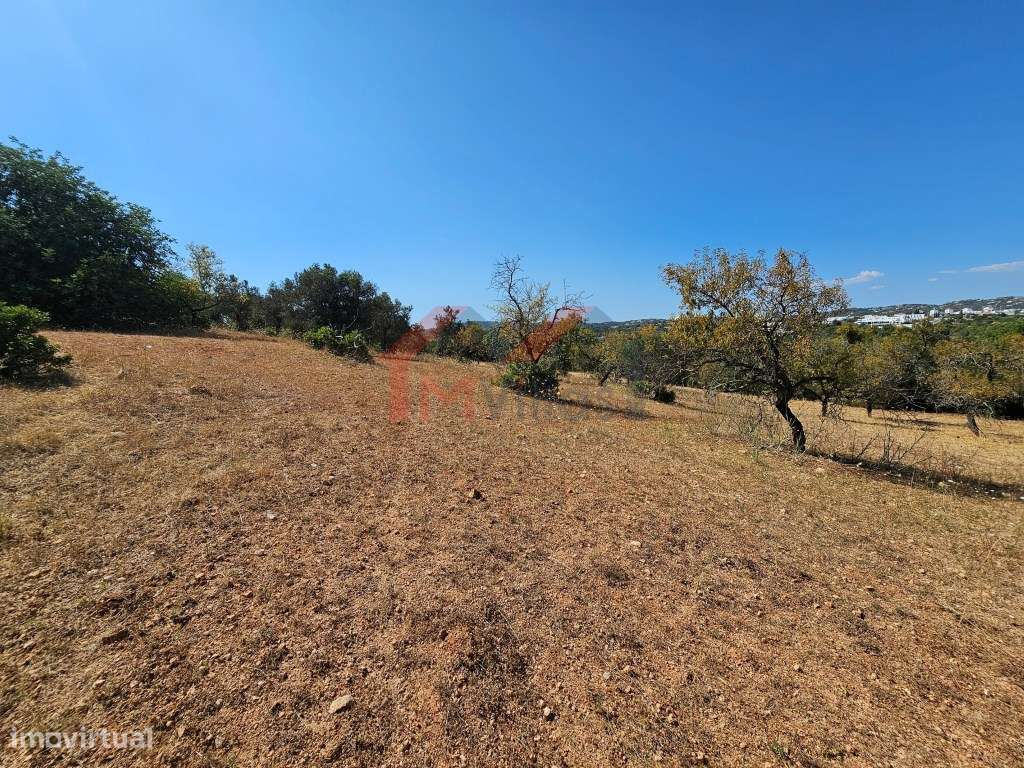 Moradia tradicional V5 para recuperar com terreno de 31.000 m2 - Loulé-16