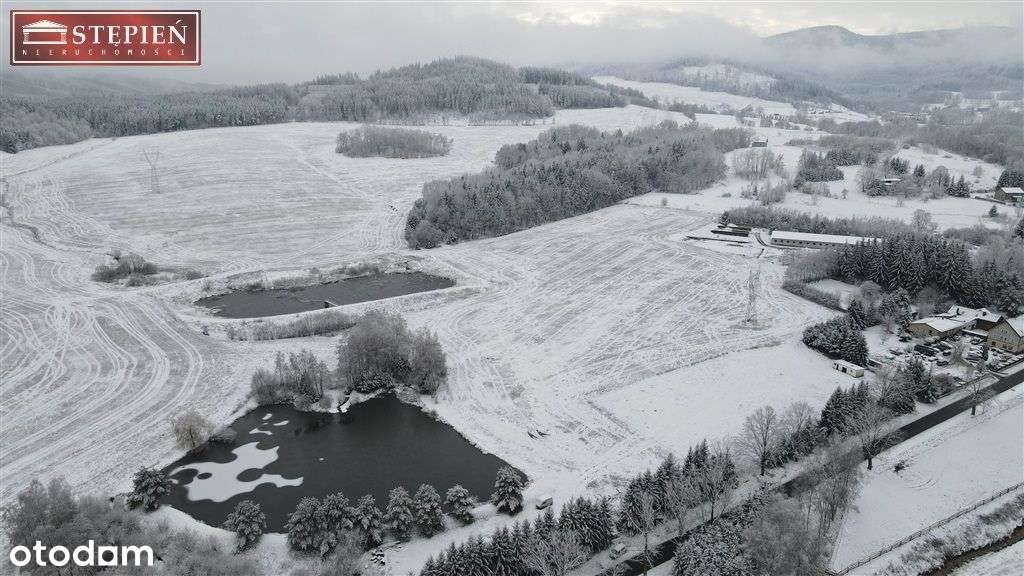 Działka w otulinie Parku Krajobrazowego - Pełny obrazek: 5/16
