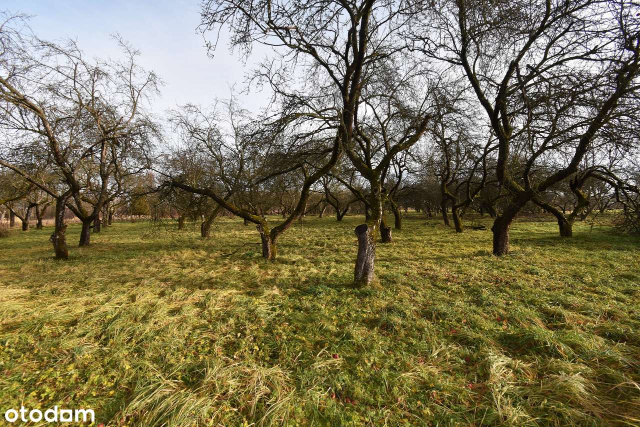 Działka z WZ tylko 4,3 km od centrum Łańcuta, przy drodze asfaltowej-11