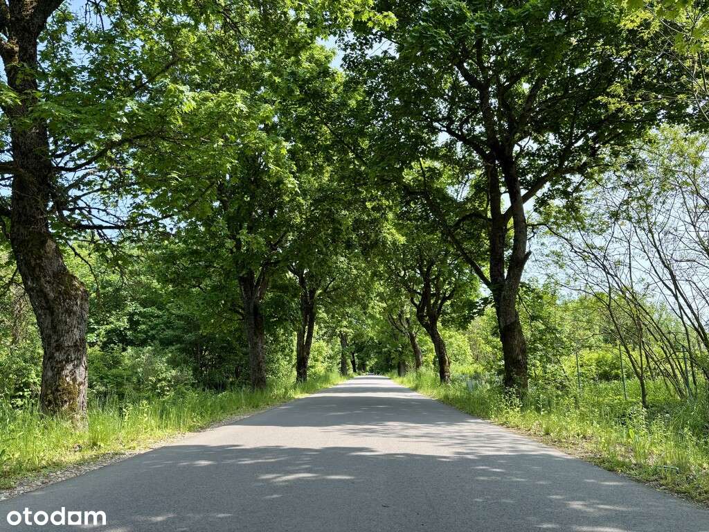 Działki w malowniczej miejscowości Garbas Drugi-7