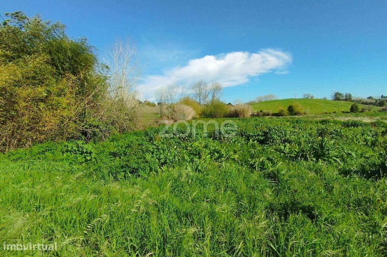 Terreno Rústico Leirão-3
