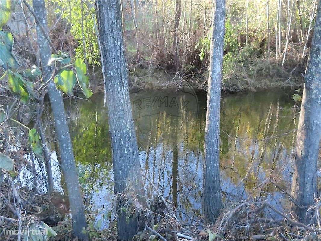 Quinta  para venda - Grande imagem: 2/43