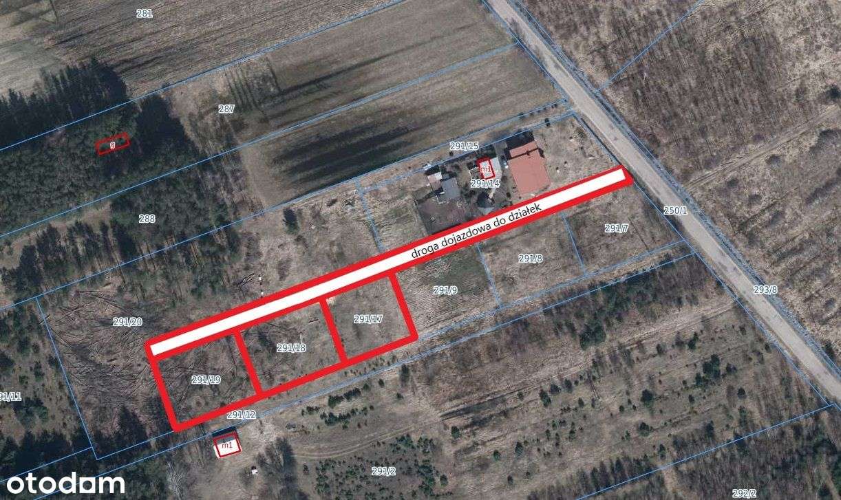 Urokliwa okolica czysty leśny klimat blisko miasta-0