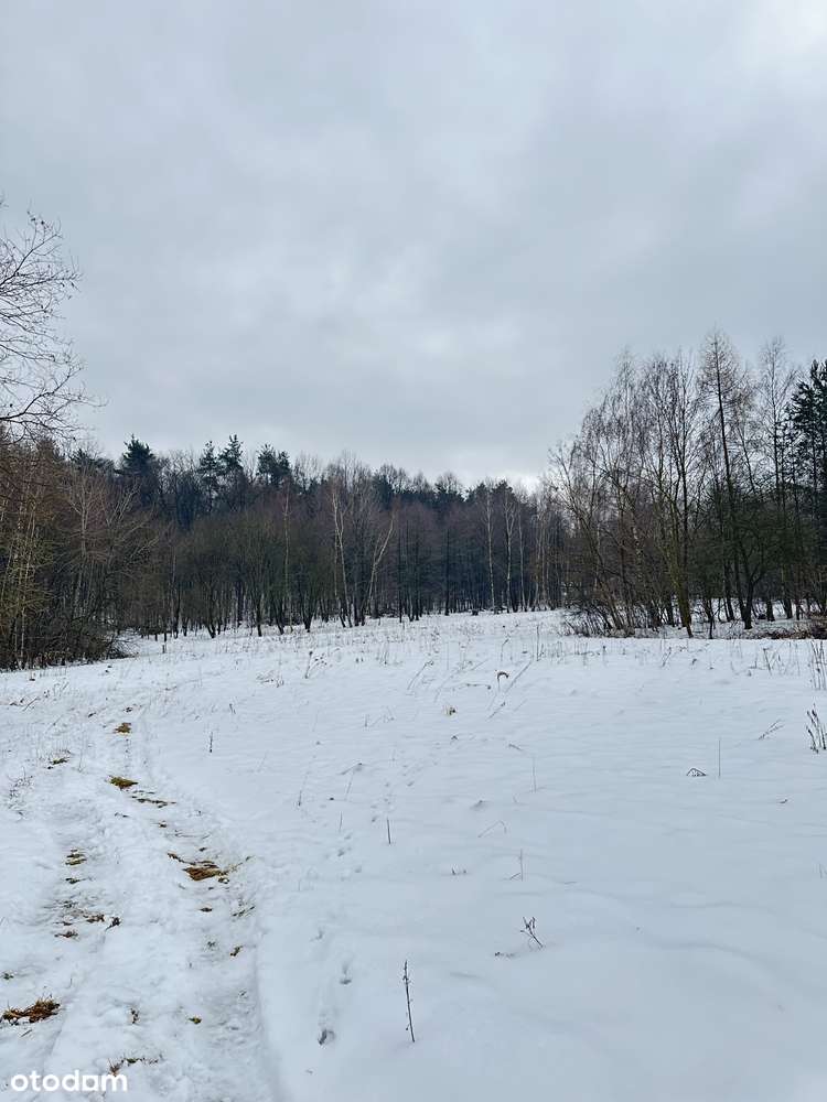 Duża działka pod lasem - Łazany blisko Wieliczki i Gdowa-0