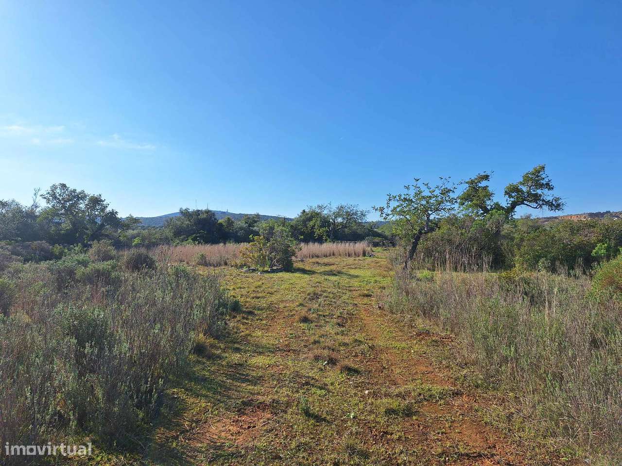 Terreno Rústico no Sítio do Laranjeiro de Santa Catarina da Fonte d...-7