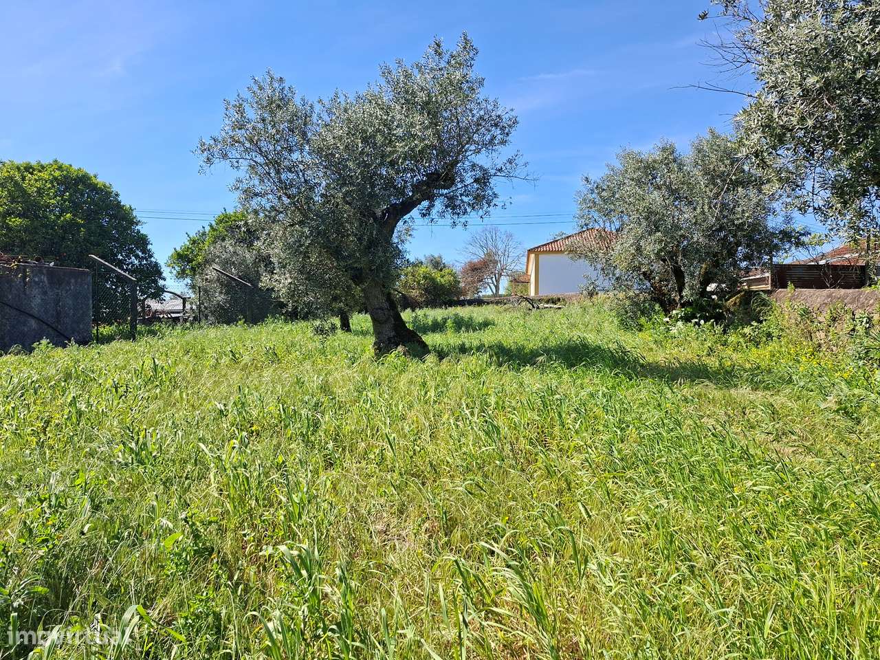 Terreno  Venda em Valhascos,Sardoal - Grande imagem: 4/11