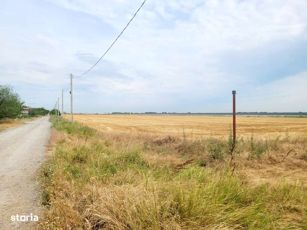 Teren 8.812mp- Magurele- Dumitrana, Autostrada 0 - Imagine principală: 5/8