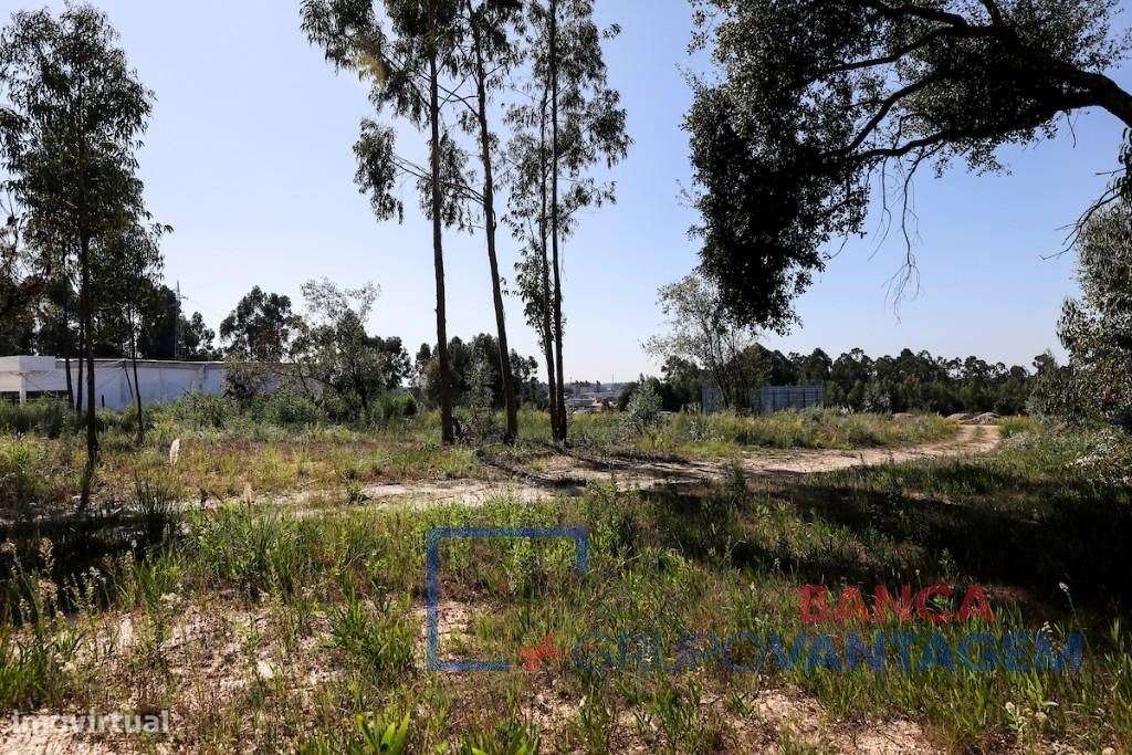 Conjunto 2 Terrenos Urbanos - Rio Meão / Stª Maria da Feira - Grande imagem: 5/7