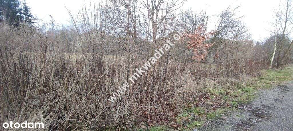 ⭐⭐⭐⭐ Działka Budowlana 4851 M Budy Grzybek ⭐⭐⭐⭐-10