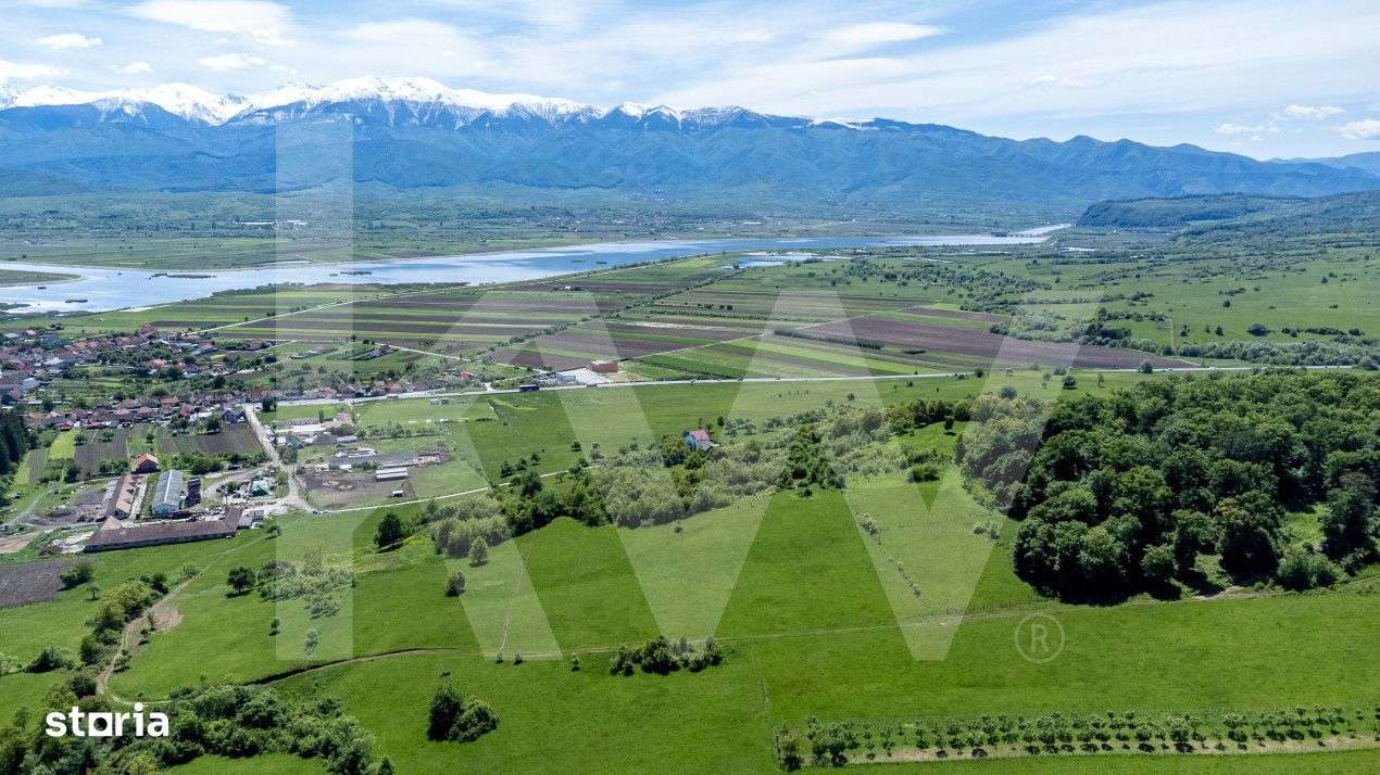 Terenuri de vanzare in Bradu – 500 mp, panorama superba la munti si - Imagine principală: 5/6