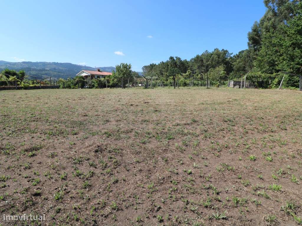Terreno com 1,5 hectares na Gandra - Grande imagem: 4/19