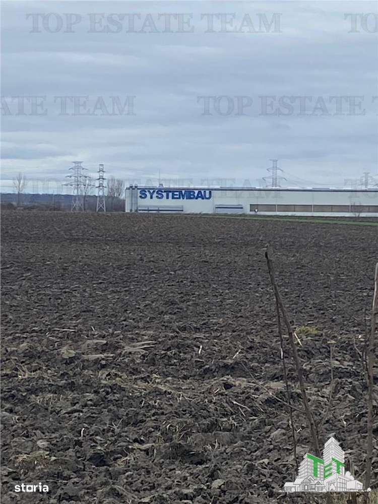 Teren Extravilan 10.000 mp in Prahova-2