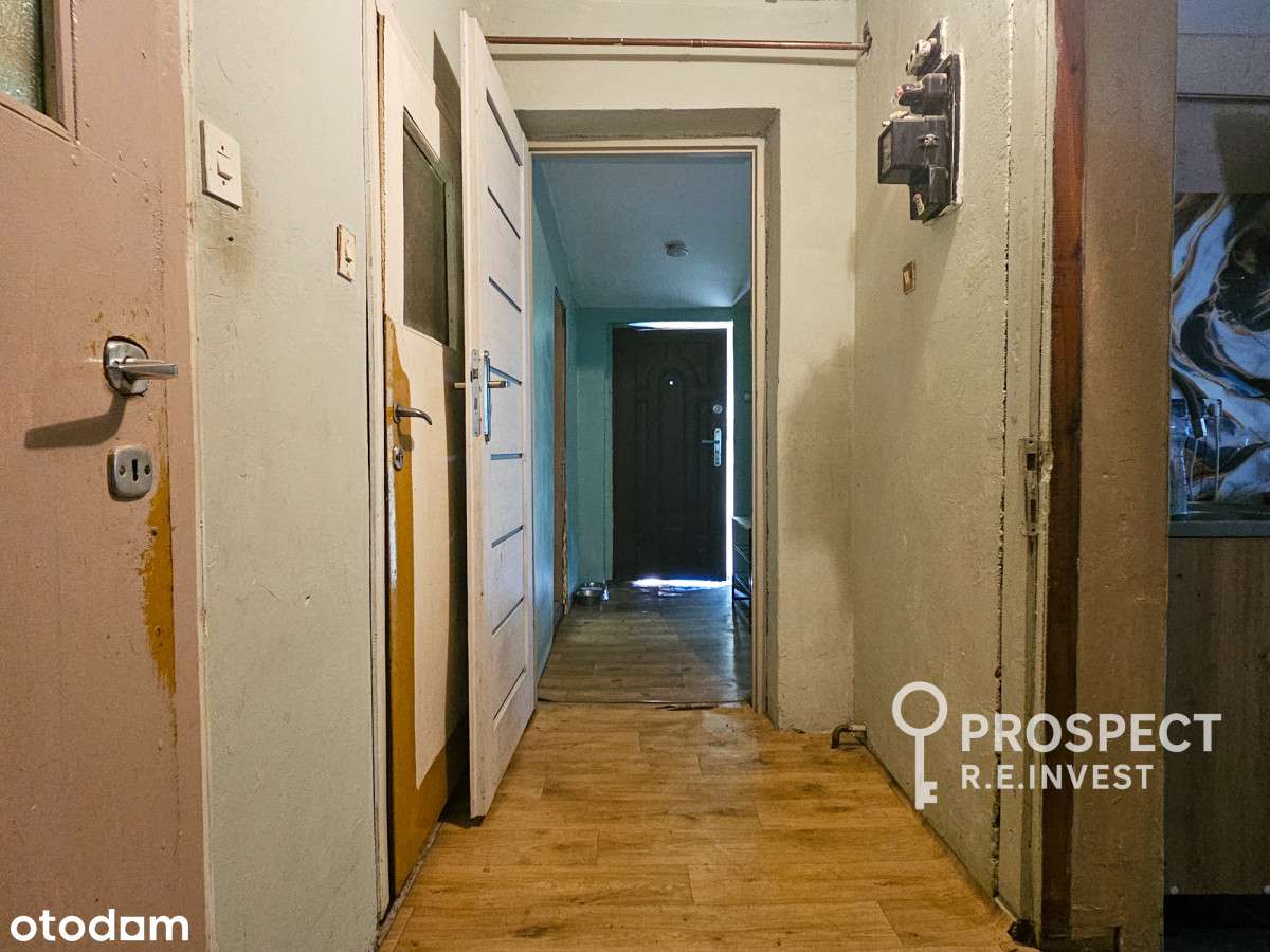 Dom, własny kawałek lasu, blisko rzeki, Pukarzów-11