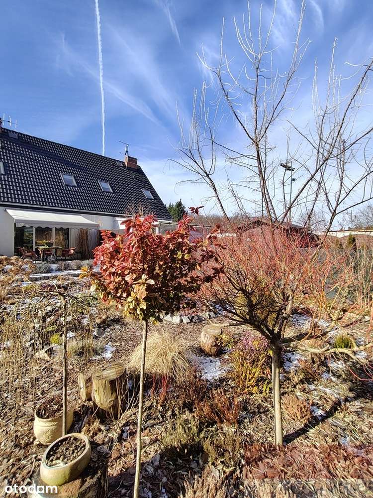 Śliczny domek tuż przy lesie-5